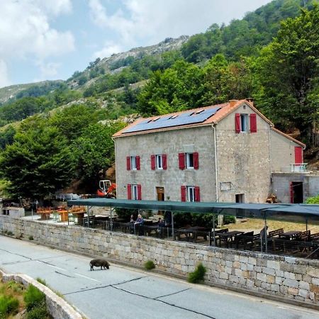 Ferme Auberge Du Col De La Vaccia Olivese Exterior foto